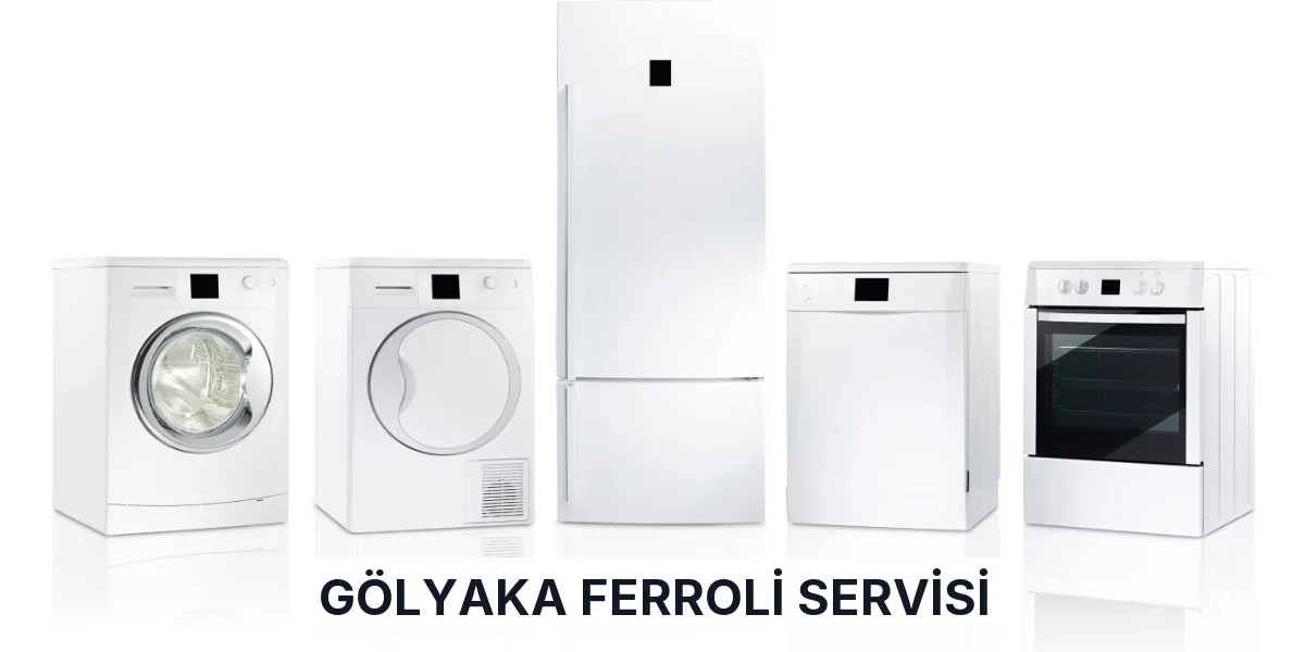 Gölyaka Ferroli Servisi