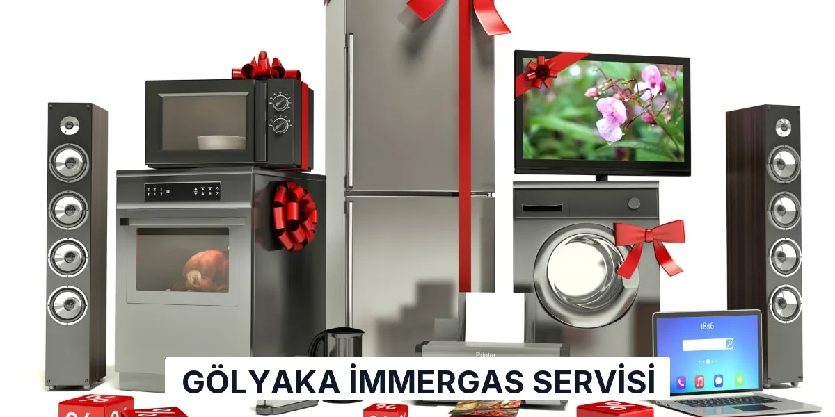 Gölyaka İmmergas Servisi