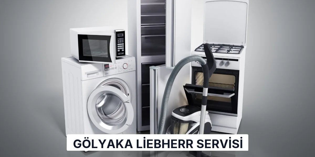 Gölyaka Liebherr Servisi
